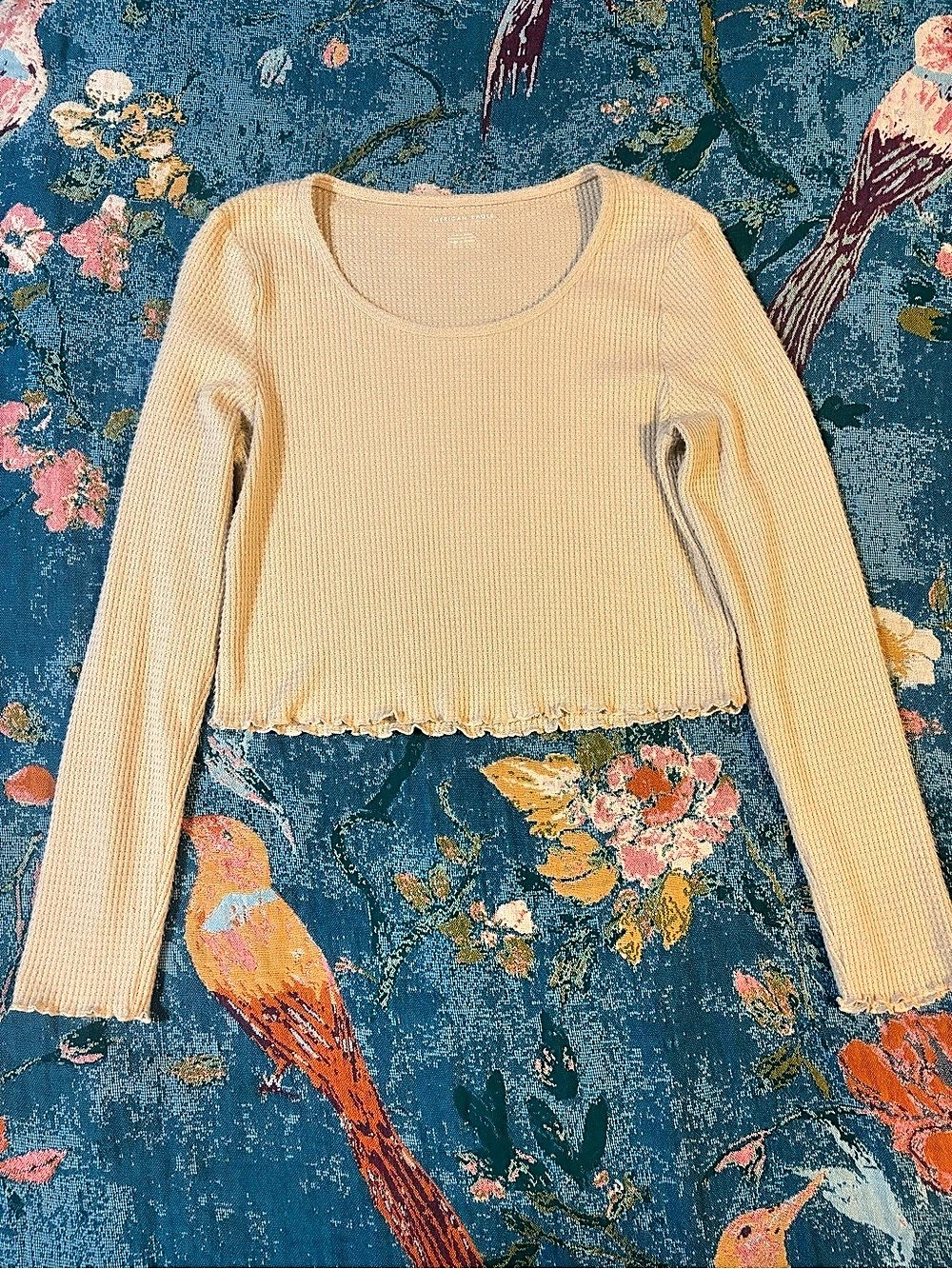 American Eagle Scoop Neck Cropped Sweater in Cream Size L